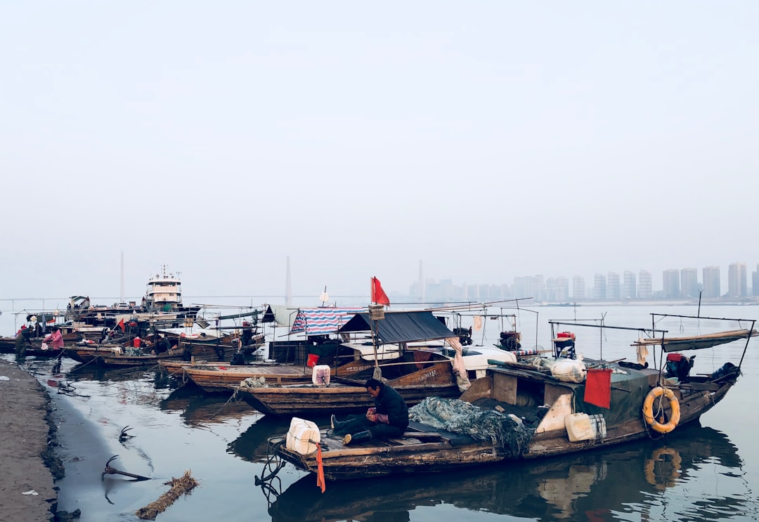 photo of Wuhan Dock near East Lake