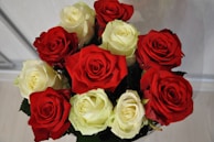 A bouquet of roses with a mixture of vibrant red and creamy white blooms, arranged closely together to create a striking visual contrast. The roses appear fresh and in full bloom, with delicate, velvety petals.