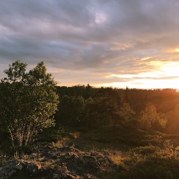 A scenic photo of a serene nature landscape at sunset.