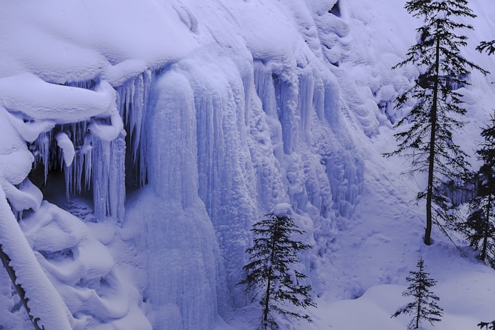 Winter's Warming Walk