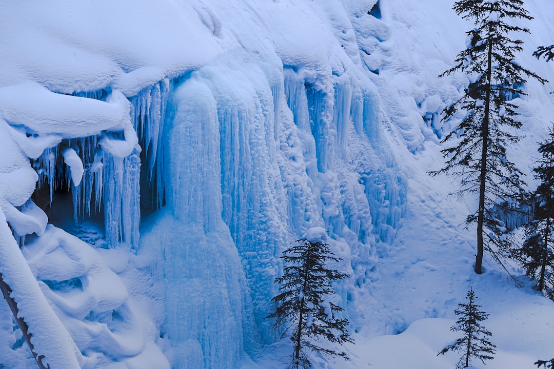 Glacial landform photo spot Johnston Canyon Banff National Park
