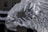 An ice sculpture featuring the detailed head of an eagle. The sculpture's surface is smooth and reflective, showing intricate carvings that mimic the feathers and eyes of the bird. Background elements are blurred, placing focus on the clarity and craftsmanship of the sculpture.