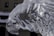 An ice sculpture featuring the detailed head of an eagle. The sculpture's surface is smooth and reflective, showing intricate carvings that mimic the feathers and eyes of the bird. Background elements are blurred, placing focus on the clarity and craftsmanship of the sculpture.