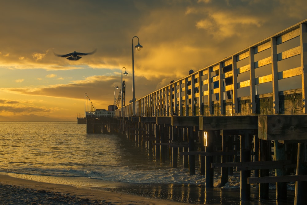 beach dock under golden hour