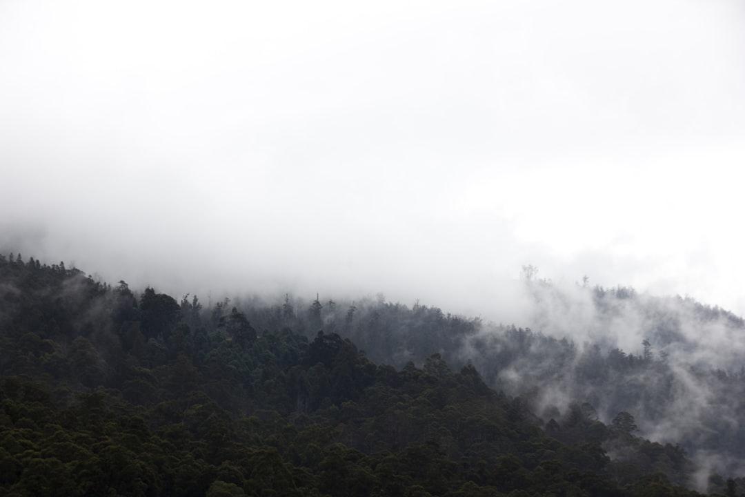 photo of Huon Valley Council Hill station near Southwest National Park