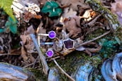 Two pieces of jewelry with purple gemstones are placed on a forest floor among brown leaves and moss-covered branches. The background consists of earthy tones and natural textures.