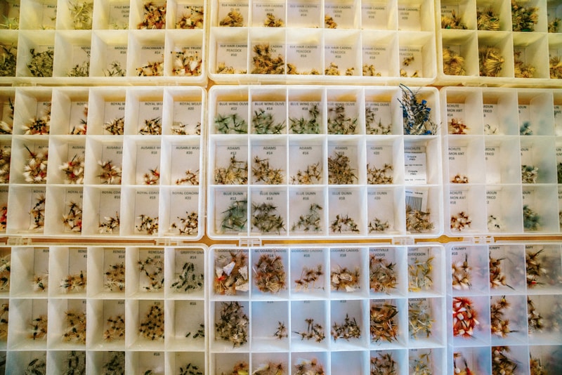 Compartments.