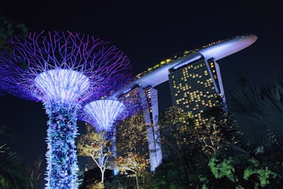 Silver Gardens - Desde Below, Singapore