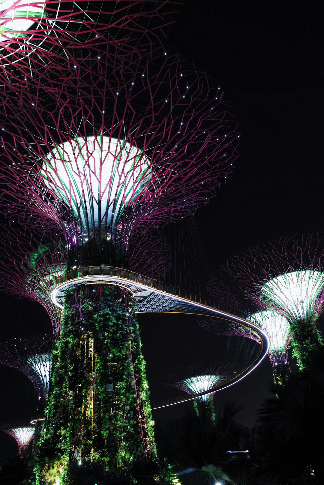 Landmark photo spot Supertree Grove Raffles Place