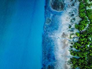 Aerial view of a coastal area featuring a distinct boundary between vibrant blue water and sandy shoreline with patches of green vegetation. The image displays intricate patterns created by water channels in the sand.