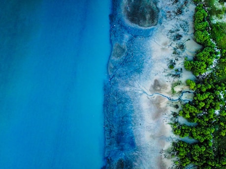 Aerial view of a coastal area featuring a distinct boundary between vibrant blue water and sandy shoreline with patches of green vegetation. The image displays intricate patterns created by water channels in the sand.