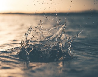 selective focus photography of water splash