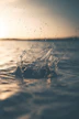 selective focus photography of water splash