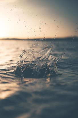 selective focus photography of water splash