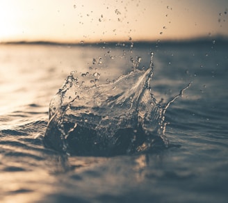 selective focus photography of water splash