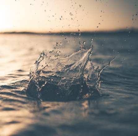 selective focus photography of water splash