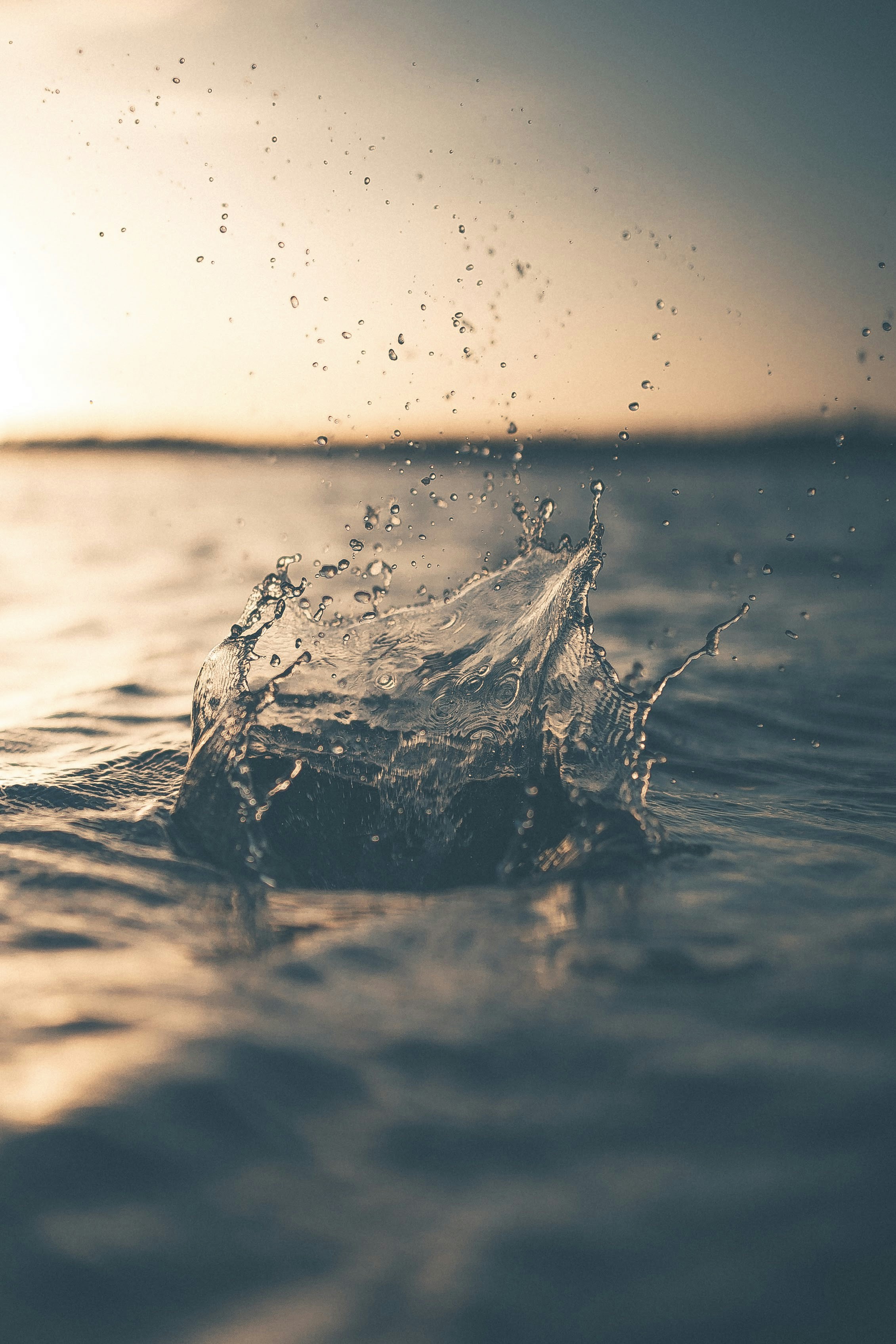 selective focus photography of water splash