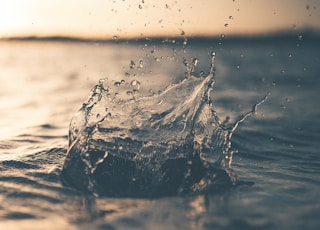 selective focus photography of water splash