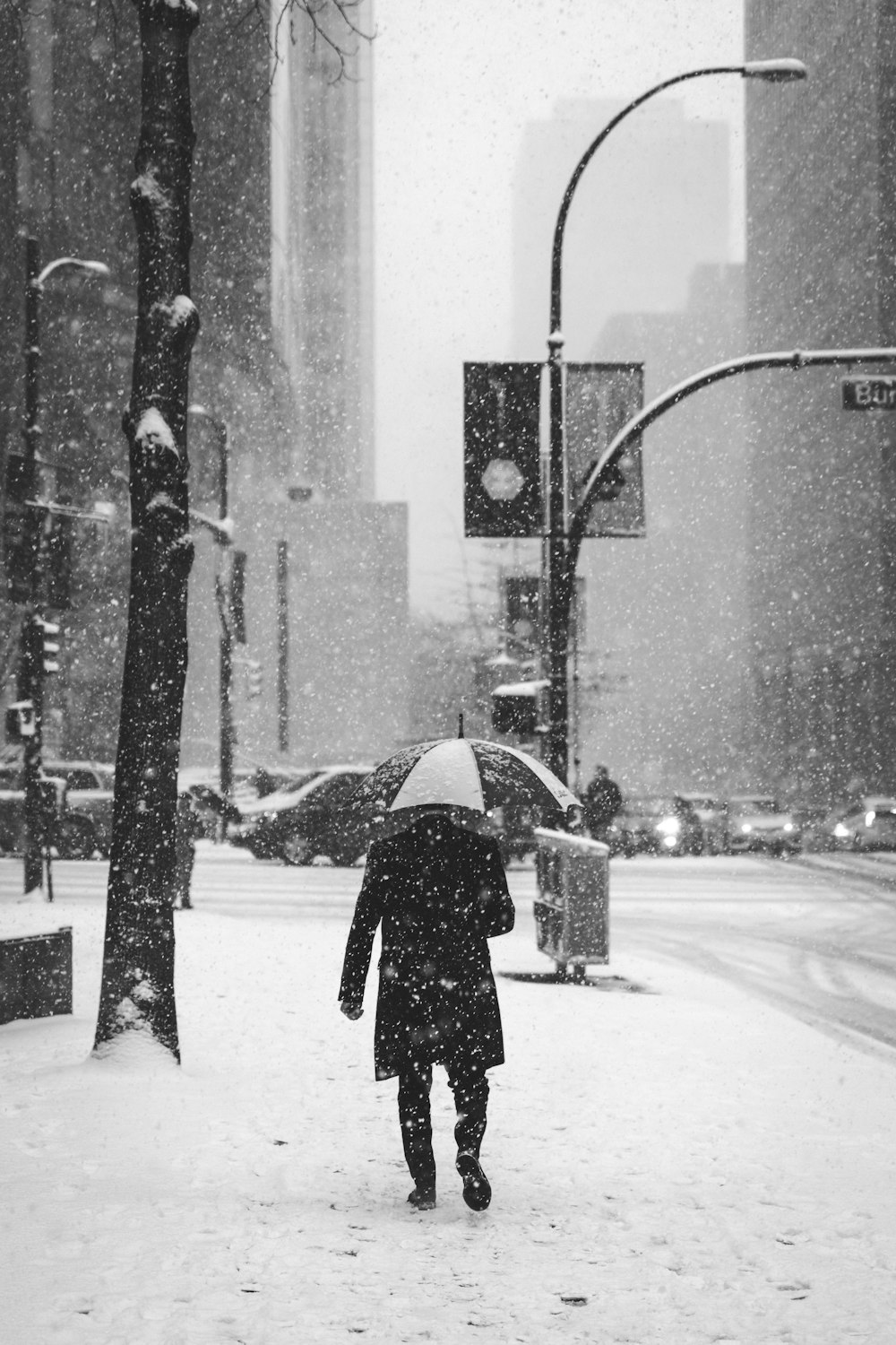 person holding umbrella standing near street light