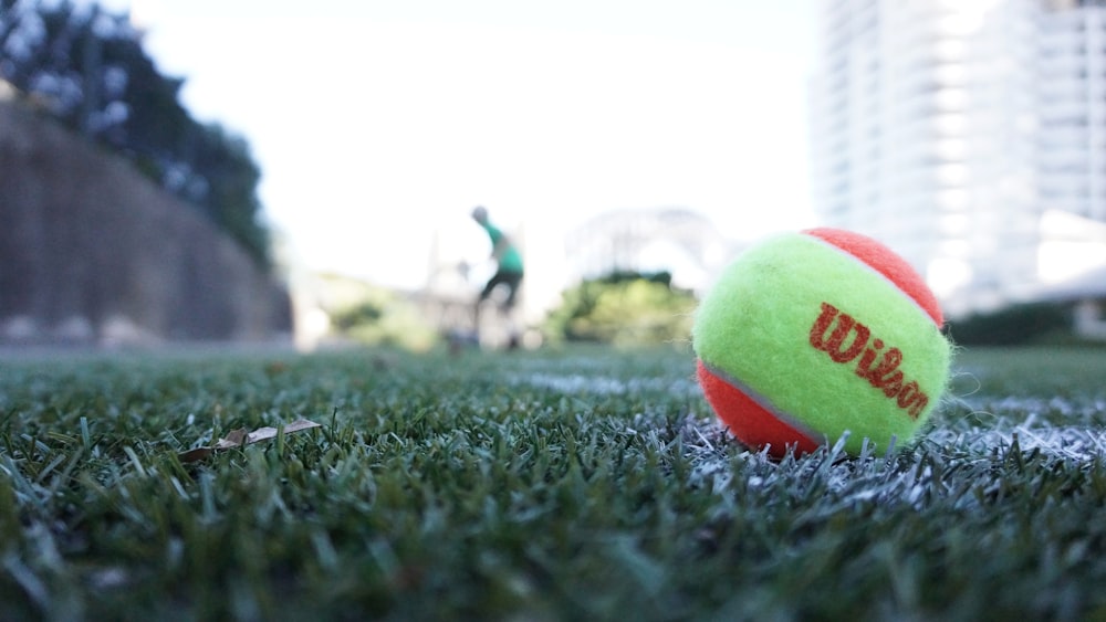 red and green Wilson ball on green grass