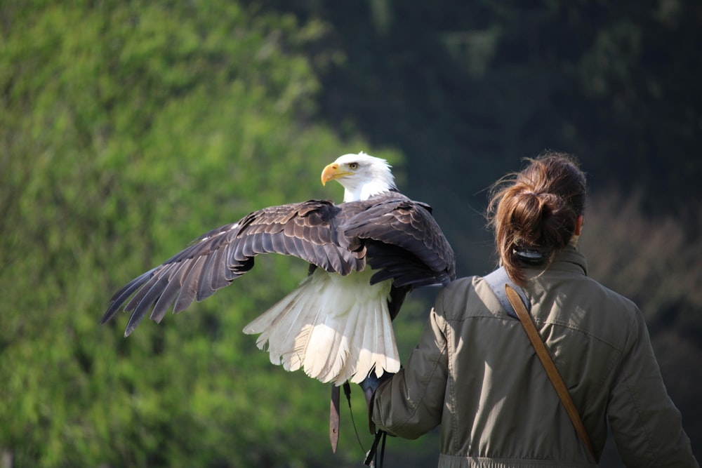 Fotografía de enfoque selectivo de la percha del águila blanca y marrón en la mano izquierda de la mujer durante el día