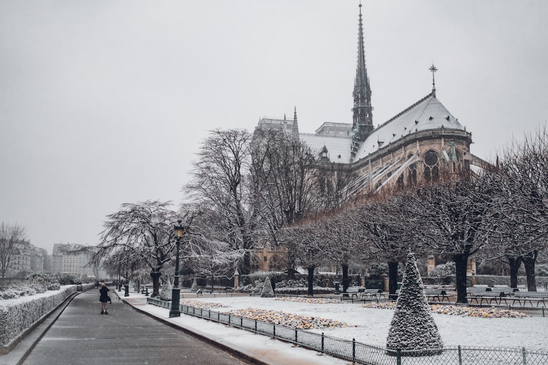 Paris under the Snow