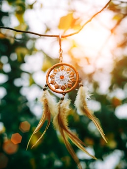 A dreamcatcher with a woven center and hanging feathers is suspended from a branch. The background is a soft blur of green leaves and golden sunlight, creating a serene and peaceful atmosphere.