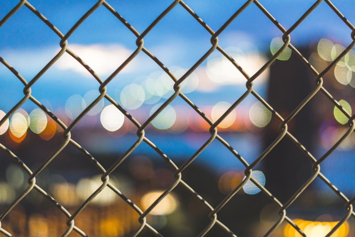 Mesh Fencing Or Palisade Fencing : Which is best? 