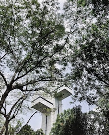 A modern architectural structure appears amidst a lush, green forest canopy. The vertical building features protruding rectangular sections, surrounded by dense foliage and towering trees. The leaves create a natural frame around the structure, with light filtering through the branches.