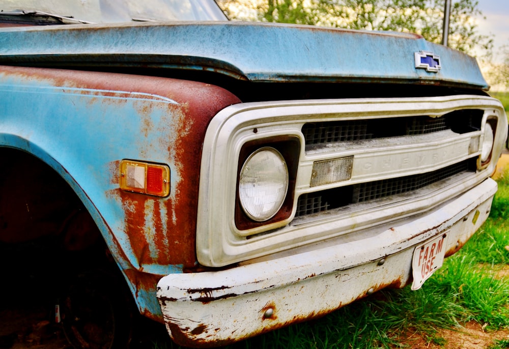 brown and black car on green grass during daytime