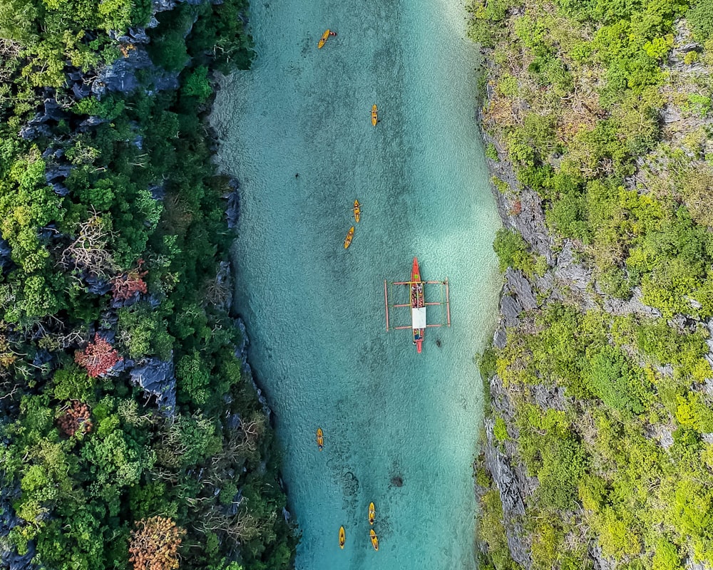 Vista aerea della barca sullo specchio d'acqua tra gli alberi durante il giorno