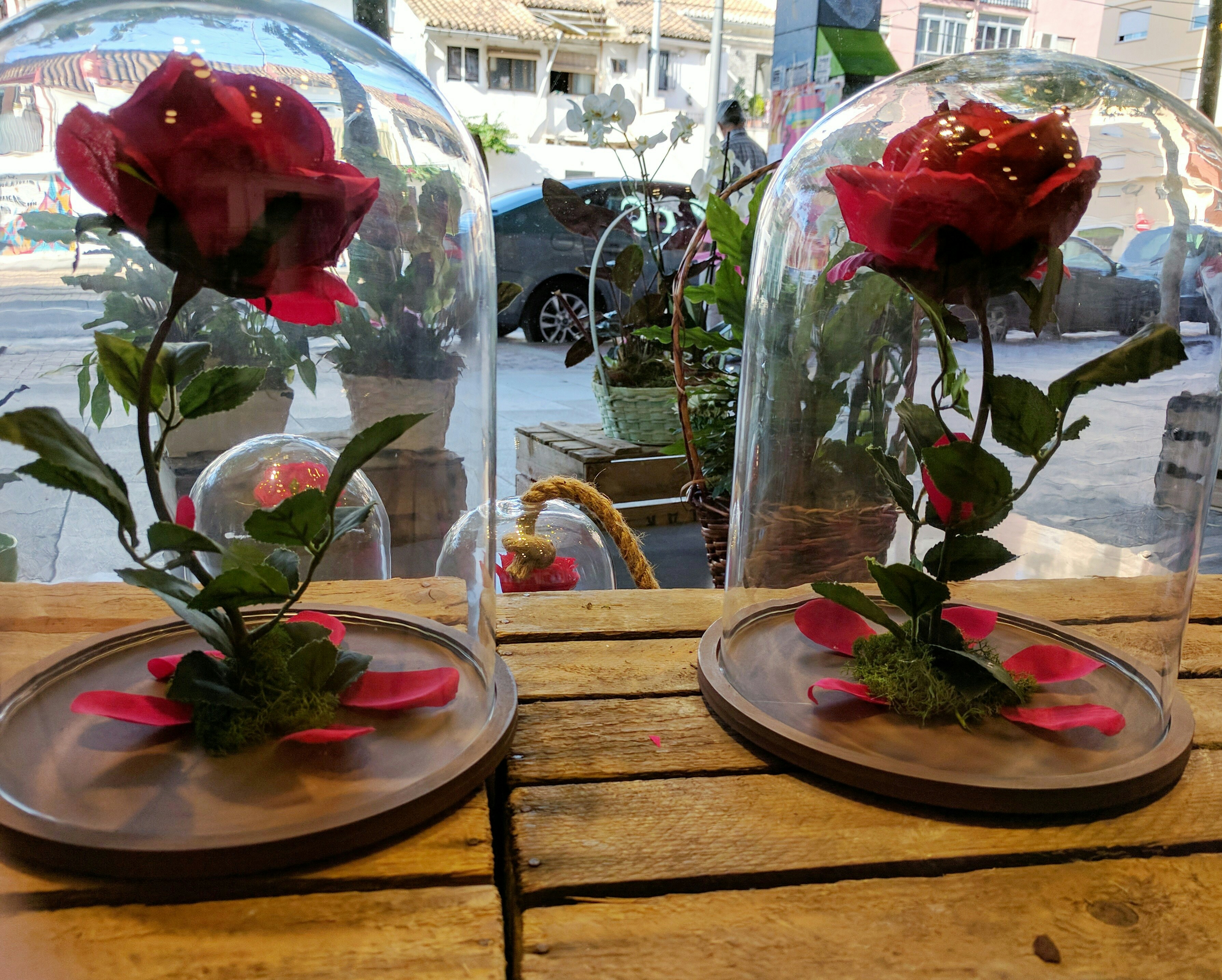 Elegant Fresh Roses Bouquet