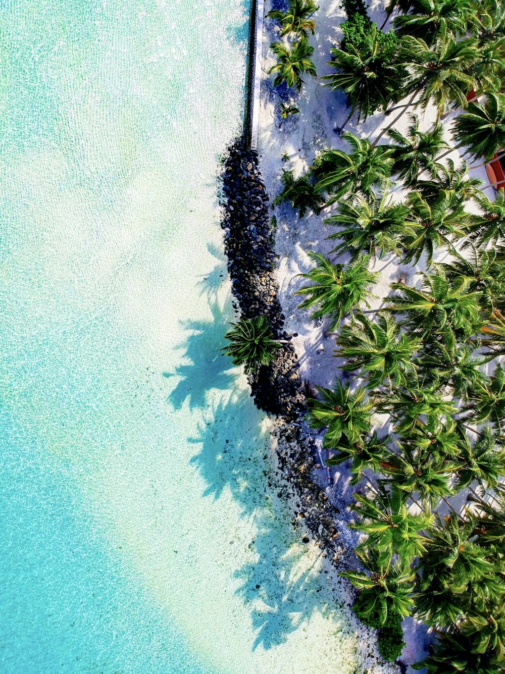Fotografía de vista aérea de la isla