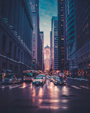 Abstract city light trails representing market trends and consumer foresight mapping