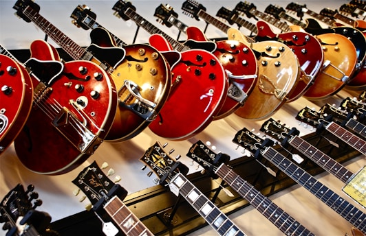 assorted-color jazz guitar lot