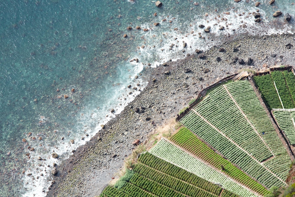 aerial photography of shoreline with farm