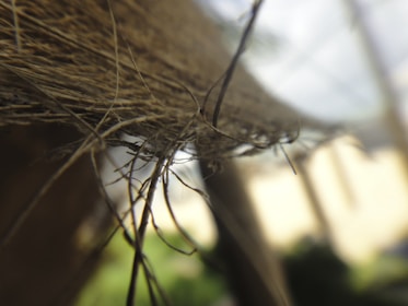 Close-up view of hay or straw fibers with a blurred background creating a macro perspective. The fibrous strands are intertwined and appear dry.