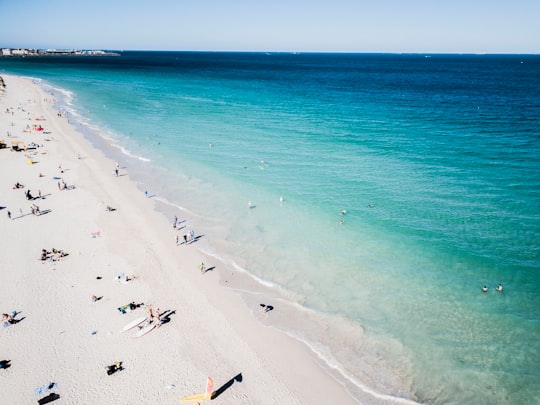 people at beach during daytime in Leighton Beach Australia