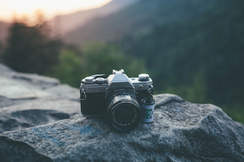 Vintage film camera set against a backdrop of Australian wilderness.