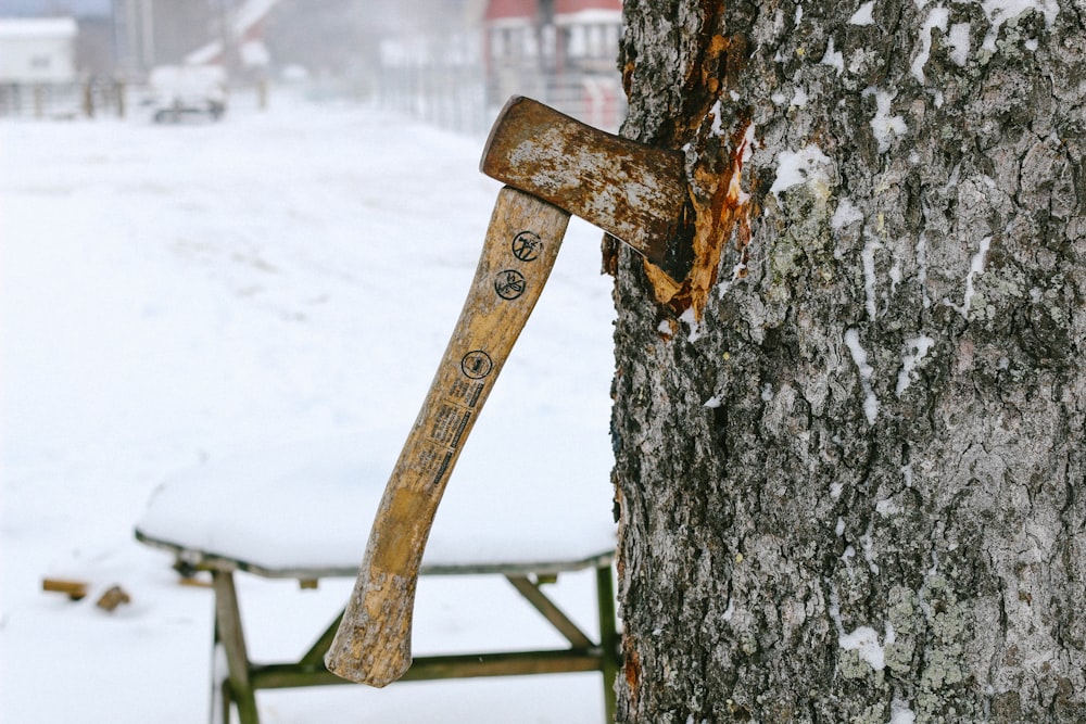 machado cravado no tronco da árvore