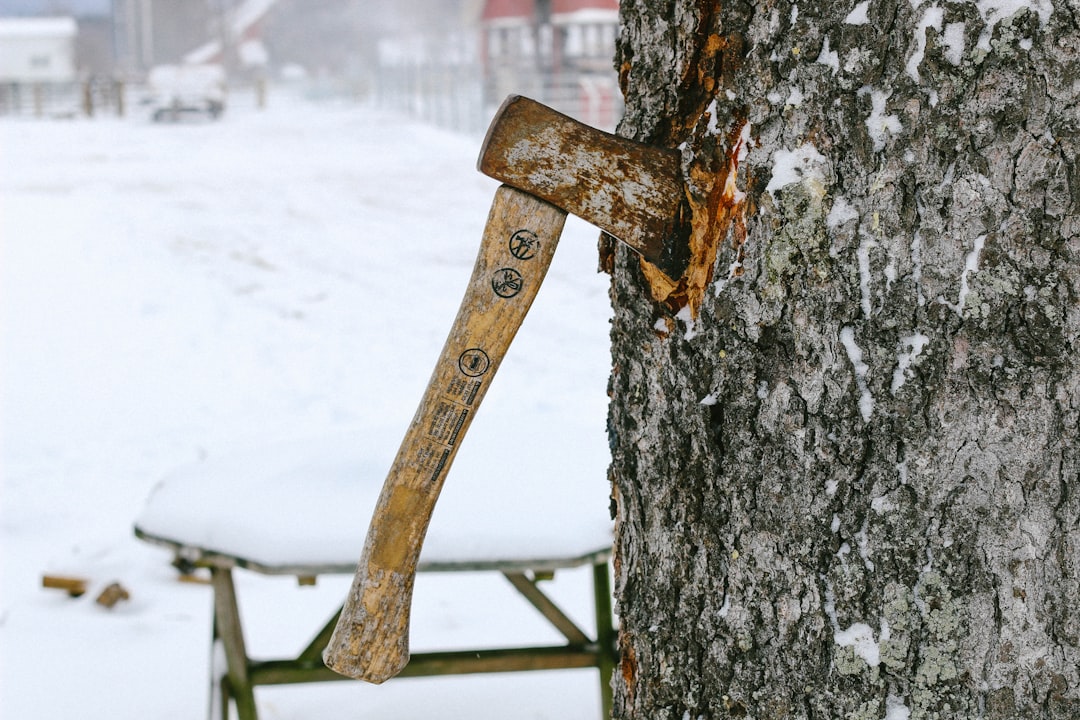 axe sticked on tree trunk,