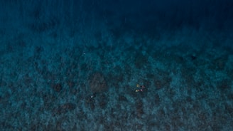 Aerial view of a large body of water with a deep blue and turquoise gradient. Two snorkelers with bright yellow and pink fins are visible near the center, swimming above a dark, rocky seabed.