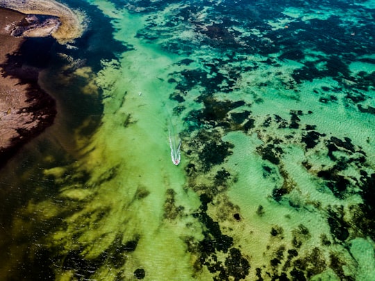 boat running on body of water in Lancelin Australia