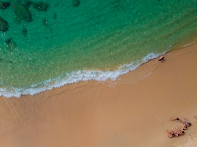 top view of people sitting on beach shore during daytrime seychelles teams background