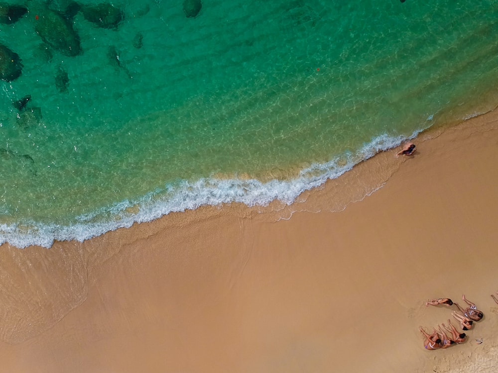 top view of people sitting on beach shore during daytrime