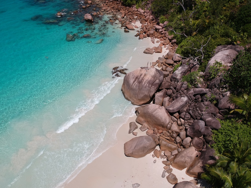 brown rocks near body of water