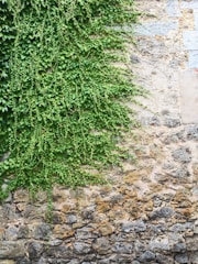 Elegant stone privacy wall blending naturally with garden greenery.