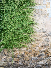 Close-up of a stone retaining wall blending harmoniously with green landscaping.