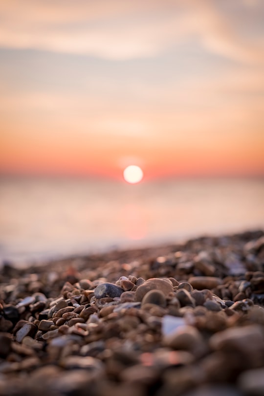 macro shot photography of brown pebbles in Brighton United Kingdom