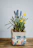 Close-up of the pastel decorative flower pot sitting on the biršvė console table.